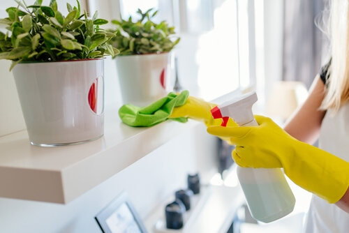 Recurring House Cleaning Services in Tamarac, Florida