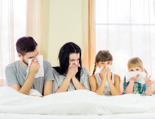 10 Tips to Combat Common Household Allergens in Fort Lauderdale